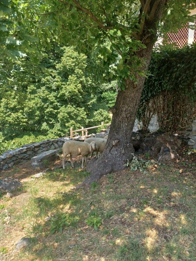 Open Cascina Villa Colico Kültér fotó